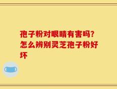 孢子粉对眼睛有害吗？怎么辨别灵芝孢子粉好坏