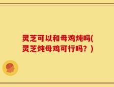 灵芝可以和母鸡炖吗(灵芝炖母鸡可行吗？)