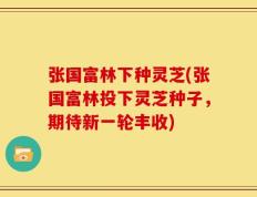 张国富林下种灵芝(张国富林投下灵芝种子，期待新一轮丰收)
