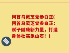 何首乌灵芝党参白芷(何首乌灵芝党参白芷：赋予健康新力量，打造身体壮实象山石！)