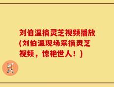 刘伯温摘灵芝视频播放(刘伯温现场采摘灵芝视频，惊艳世人！)