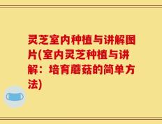 灵芝室内种植与讲解图片(室内灵芝种植与讲解：培育蘑菇的简单方法)