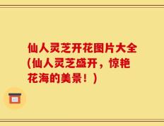 仙人灵芝开花图片大全(仙人灵芝盛开，惊艳花海的美景！)
