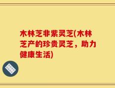 木林芝非紫灵芝(木林芝产的珍贵灵芝，助力健康生活)