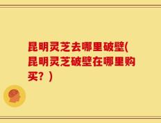 昆明灵芝去哪里破壁(昆明灵芝破壁在哪里购买？)