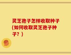 灵芝孢子怎样收取种子(如何收取灵芝孢子种子？)