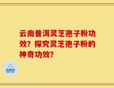 云南普洱灵芝孢子粉功效？探究灵芝孢子粉的神奇功效？