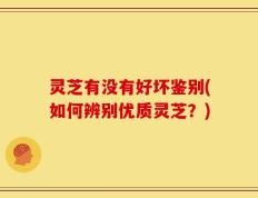 灵芝有没有好坏鉴别(如何辨别优质灵芝？)