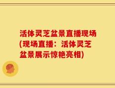 活体灵芝盆景直播现场(现场直播：活体灵芝盆景展示惊艳亮相)