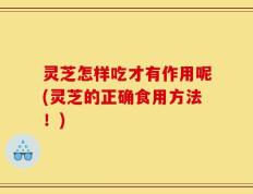 灵芝怎样吃才有作用呢(灵芝的正确食用方法！)