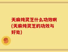 天麻炖灵芝什么功效啊(天麻炖灵芝的功效与好处)