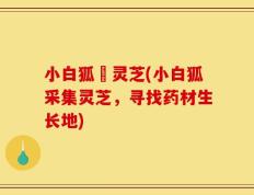 小白狐採灵芝(小白狐采集灵芝，寻找药材生长地)