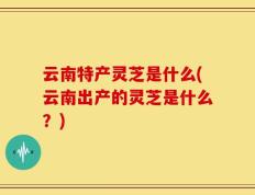 云南特产灵芝是什么(云南出产的灵芝是什么？)