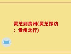 灵芝到贵州(灵芝探访：贵州之行)