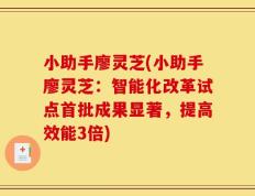 小助手廖灵芝(小助手廖灵芝：智能化改革试点首批成果显著，提高效能3倍)