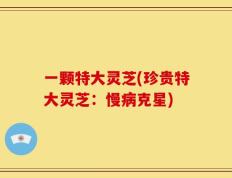 一颗特大灵芝(珍贵特大灵芝：慢病克星)