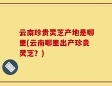 云南珍贵灵芝产地是哪里(云南哪里出产珍贵灵芝？)