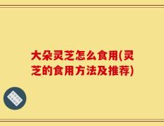 大朵灵芝怎么食用(灵芝的食用方法及推荐)