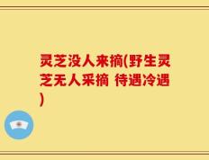 灵芝没人来摘(野生灵芝无人采摘 待遇冷遇)
