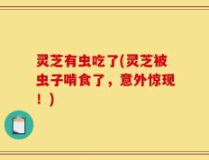 灵芝有虫吃了(灵芝被虫子啃食了，意外惊现！)
