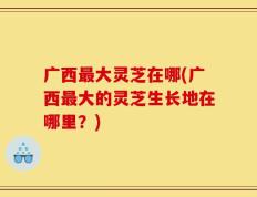 广西最大灵芝在哪(广西最大的灵芝生长地在哪里？)