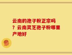云南的孢子粉正宗吗 ？云南灵芝孢子粉哪里产地好