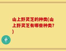 山上野灵芝的种类(山上野灵芝有哪些种类？)