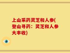 上山采药灵芝和人参(登山寻药：灵芝和人参大丰收)
