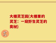大棚灵芝园(大棚里的灵芝：一窥野生灵芝的奥秘)