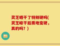 灵芝晒干了特别硬吗(灵芝晾干后质地变硬，真的吗？)