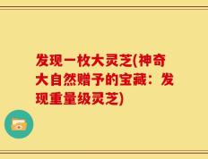 发现一枚大灵芝(神奇大自然赠予的宝藏：发现重量级灵芝)