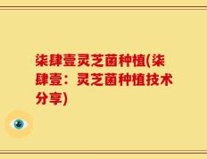柒肆壹灵芝菌种植(柒肆壹：灵芝菌种植技术分享)