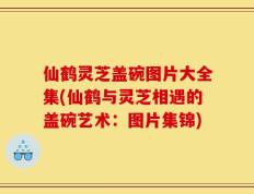 仙鹤灵芝盖碗图片大全集(仙鹤与灵芝相遇的盖碗艺术：图片集锦)