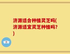 济源适合种植灵芝吗(济源适宜灵芝种植吗？)