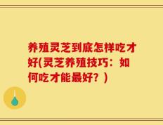 养殖灵芝到底怎样吃才好(灵芝养殖技巧：如何吃才能最好？)