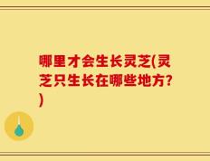 哪里才会生长灵芝(灵芝只生长在哪些地方？)