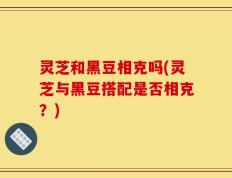 灵芝和黑豆相克吗(灵芝与黑豆搭配是否相克？)
