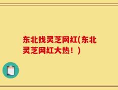 东北找灵芝网红(东北灵芝网红大热！)
