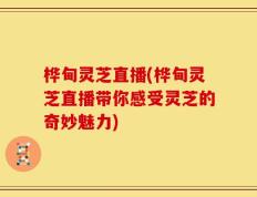 桦甸灵芝直播(桦甸灵芝直播带你感受灵芝的奇妙魅力)