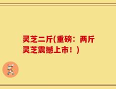 灵芝二斤(重磅：两斤灵芝震撼上市！)