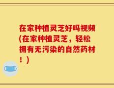 在家种植灵芝好吗视频(在家种植灵芝，轻松拥有无污染的自然药材！)