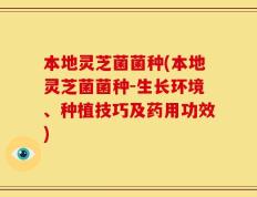 本地灵芝菌菌种(本地灵芝菌菌种-生长环境、种植技巧及药用功效)