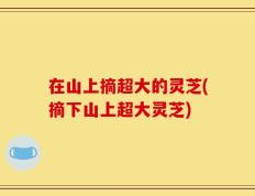 在山上摘超大的灵芝(摘下山上超大灵芝)