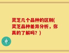 灵芝几个品种的区别(灵芝品种差异分析，你真的了解吗？)