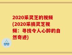 2020采灵芝的视频(2020采摘灵芝视频：寻找令人心醉的自然奇迹)