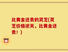 比黄金还贵的灵芝(灵芝价格逆天，比黄金还贵！)
