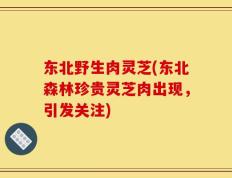 东北野生肉灵芝(东北森林珍贵灵芝肉出现，引发关注)
