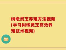 树墩灵芝养殖方法视频(学习树墩灵芝高效养殖技术视频)