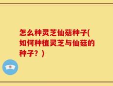 怎么种灵芝仙菇种子(如何种植灵芝与仙菇的种子？)
