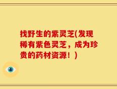 找野生的紫灵芝(发现稀有紫色灵芝，成为珍贵的药材资源！)